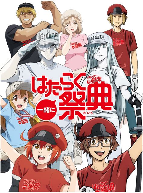hataraku saibou download|Hataraku Saibou!! (Cells at Work!!) .